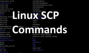 Scp linux не работает